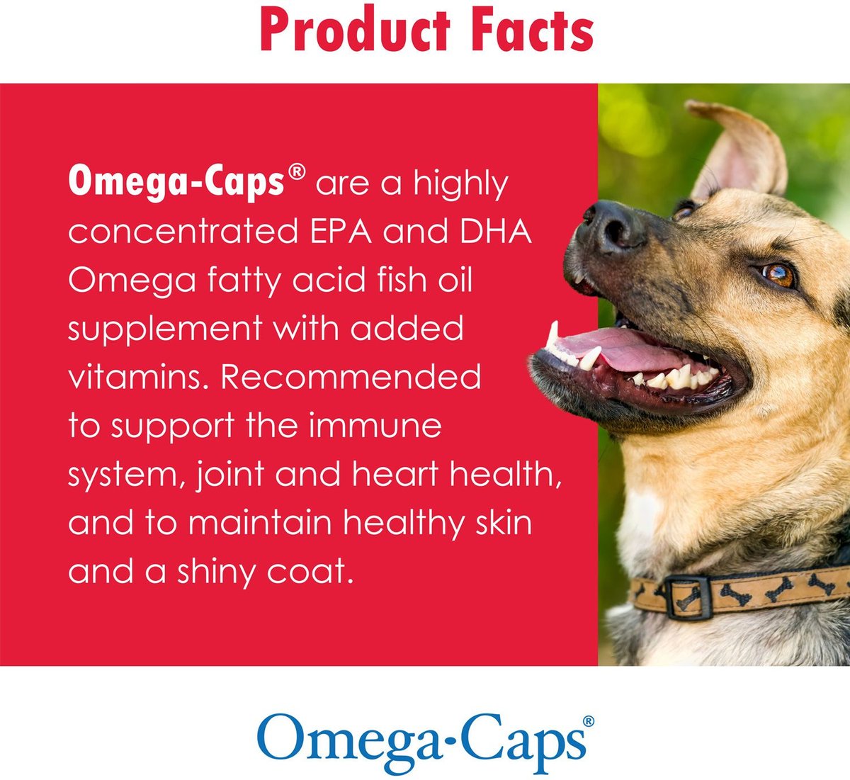 Omega-Caps Softgel Capsules Extra Strength for Large Dogs