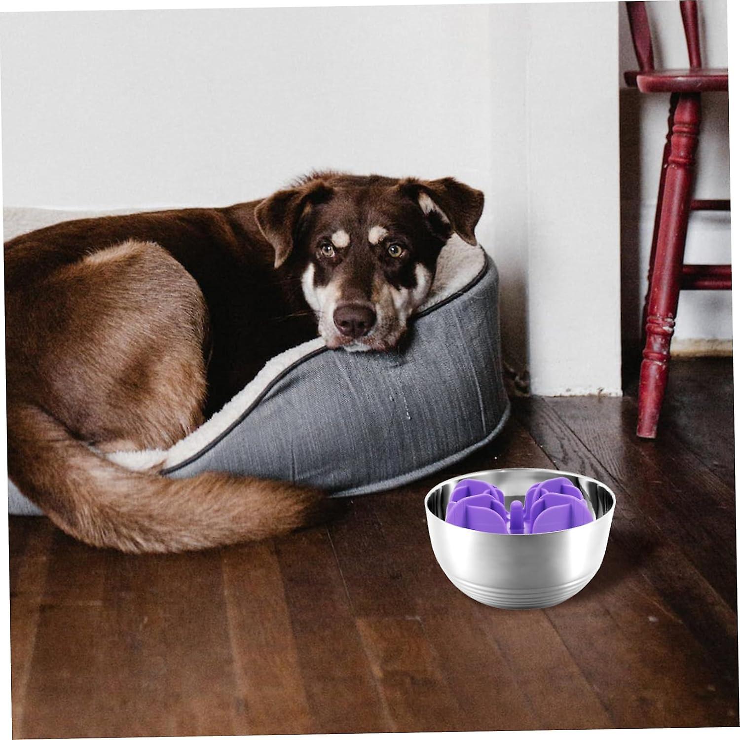 slow feeder slowing dog bowl dog accessories puppy bowls convenient pet food bowl slow feeding bowl