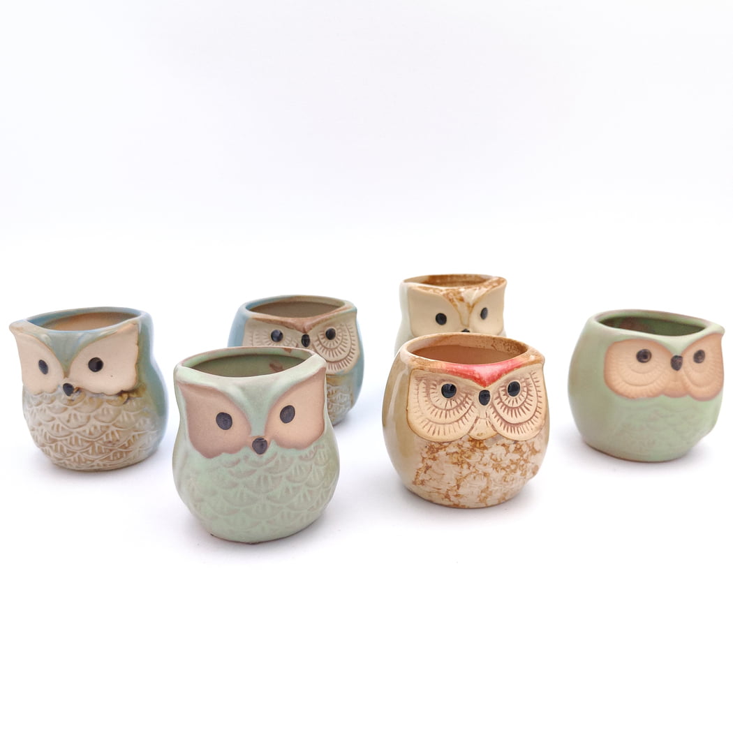 2CFUN 2.5 Inch Owl Ceramic Succulent Plants Pots Pack of 6