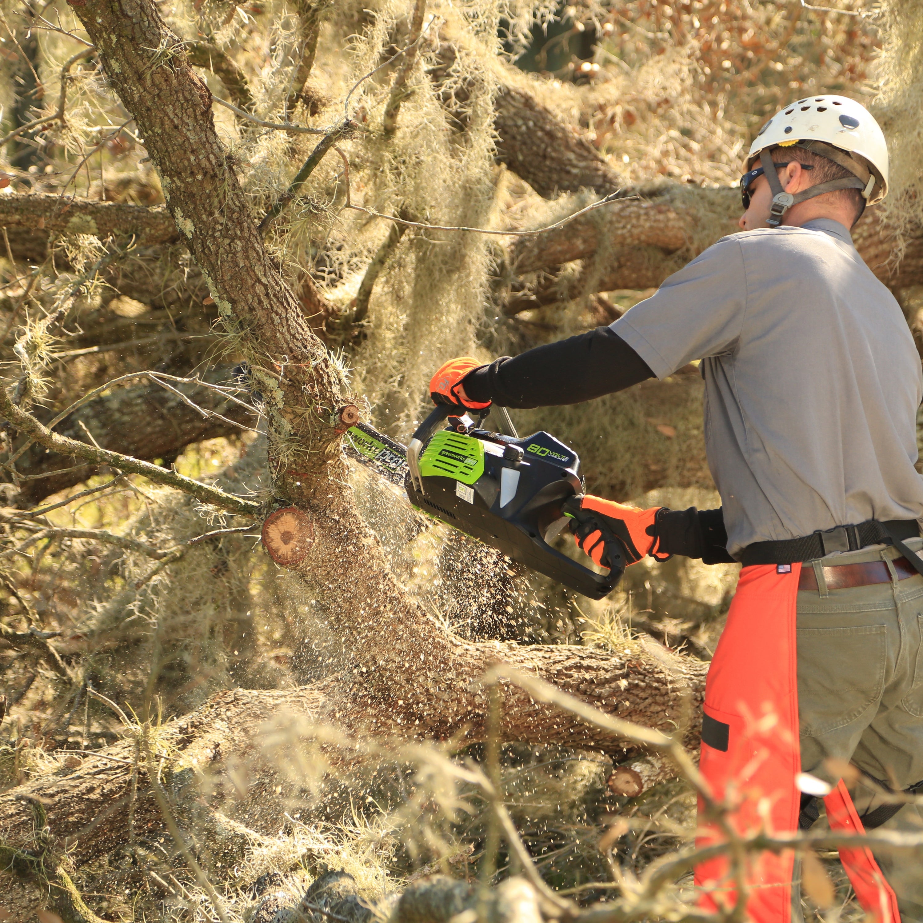 80V 18-Inch Cordless Chainsaw  Battery | Greenworks Tools