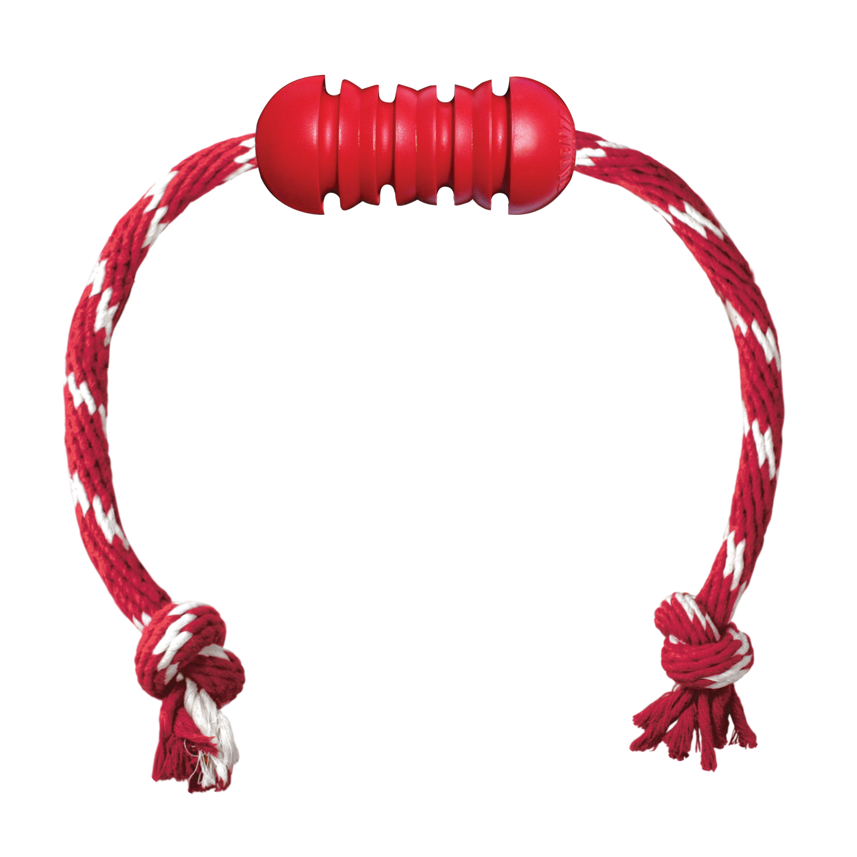 Kong Dental With Rope Dog Toy