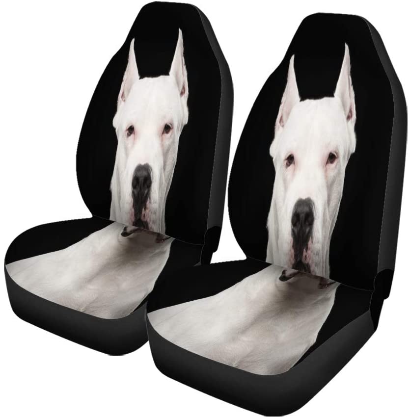 FMSHPON Set of 2 Car Seat Covers Pet Portrait of Purebred Dogo Argentino Dog Studio Adorable Universal Auto Front Seats Protector Fits for Car，SUV Sedan，Truck