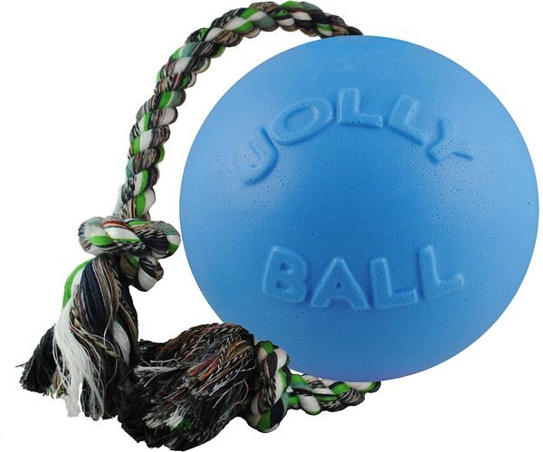 Jolly Pets Romp-n-Roll Dog Toy， Blueberry