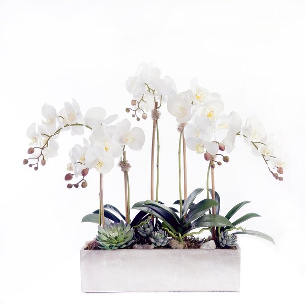 Modern Cream White Real Touch Silk Orchid Arrangement