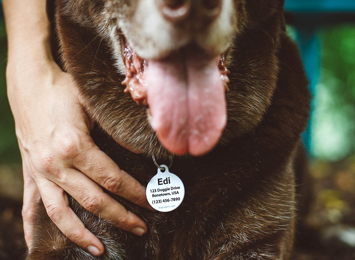 Dog Tag Art Heart of Bones Personalized Dog ID Tag