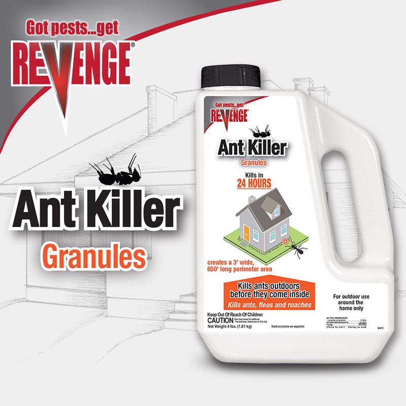 ANT KILL GRANULES 4LB