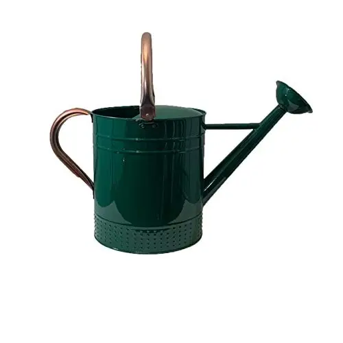 Indoor And Outdoor Plants Watering Modern Design Hammered Design Yellow Color Hand Painted  Water Cane  At Lowest Price