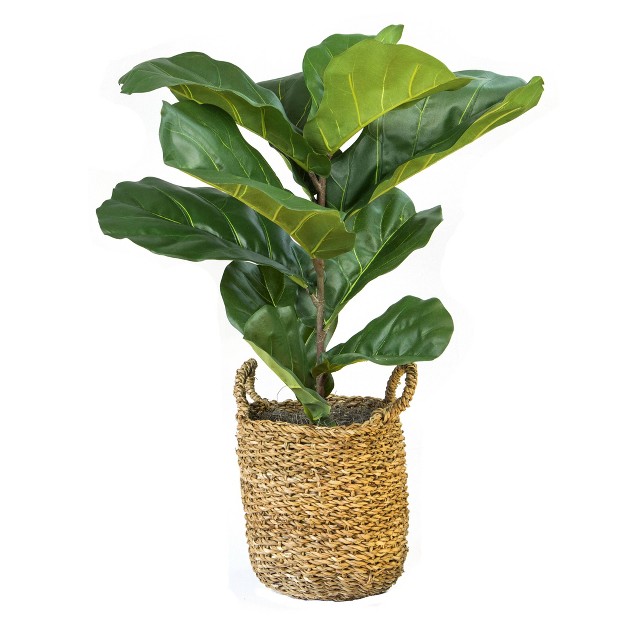 X 18 quot Artificial Fiddle Leaf Fig Plant In Basket Lcg Florals