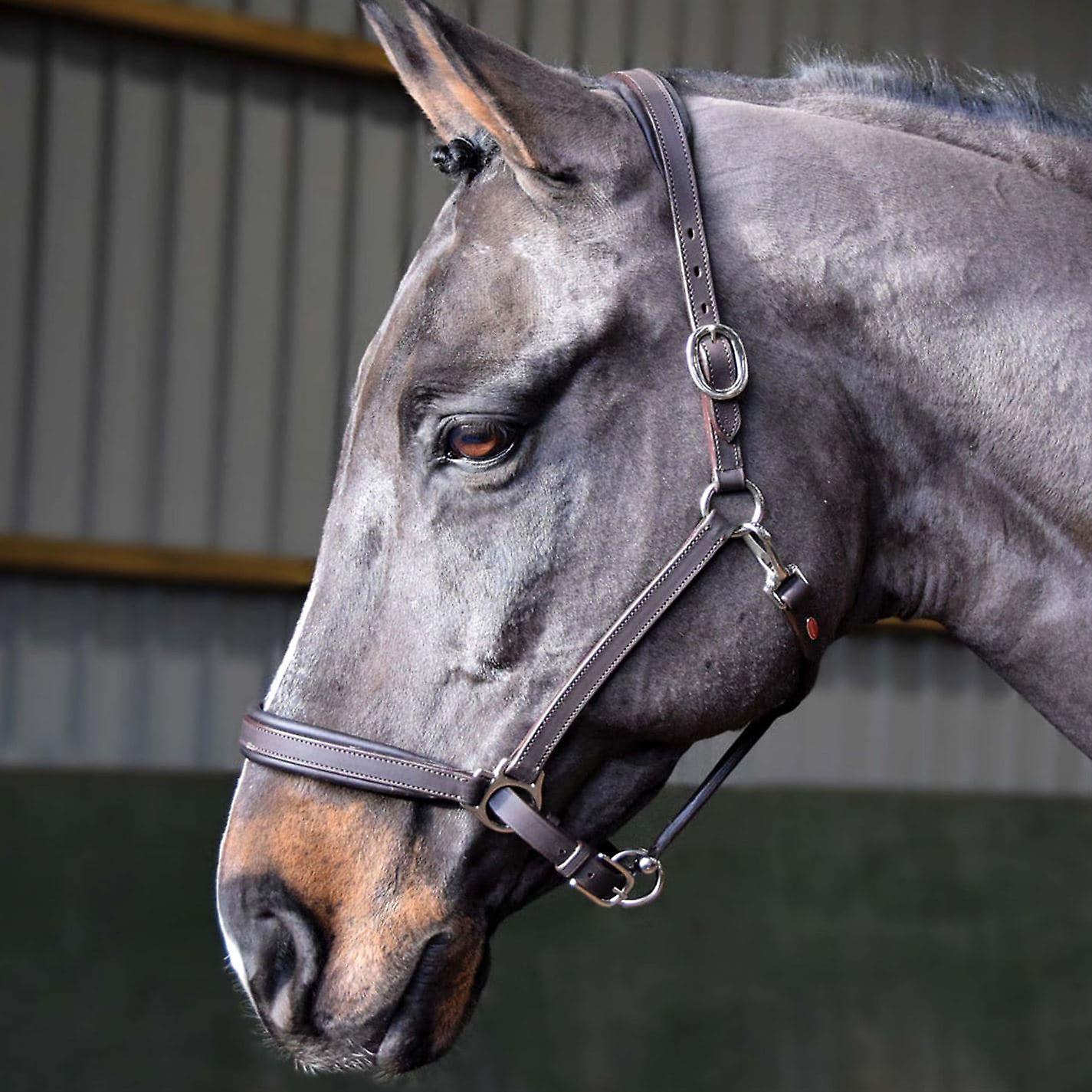 John Whitaker Unisex Ready to Ride Headcollar