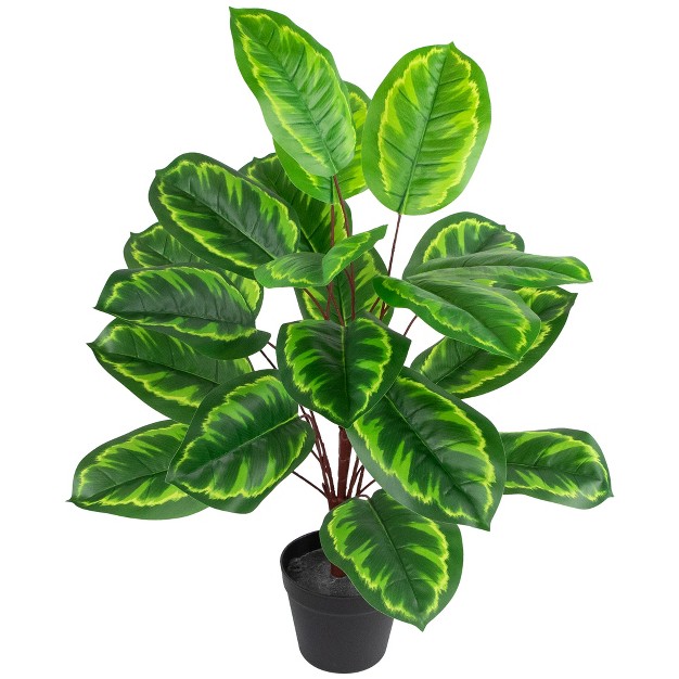 Two tone Green Calathea Artificial Potted Plant