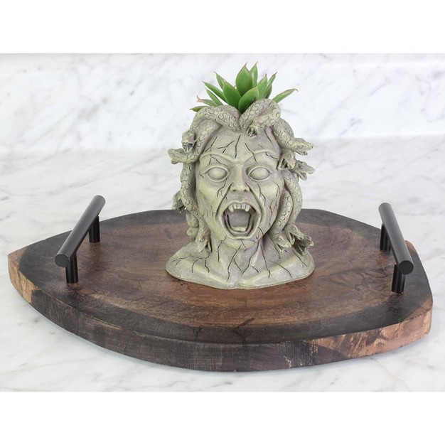 Darware Resin Medusa Head Planter Garden Decor Statue Flower Pot