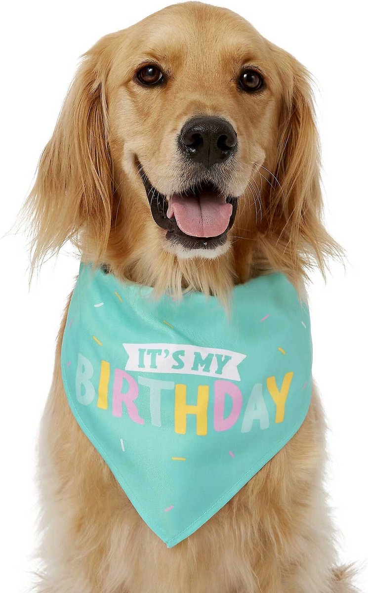 Frisco Dog and Cat Birthday Bandana