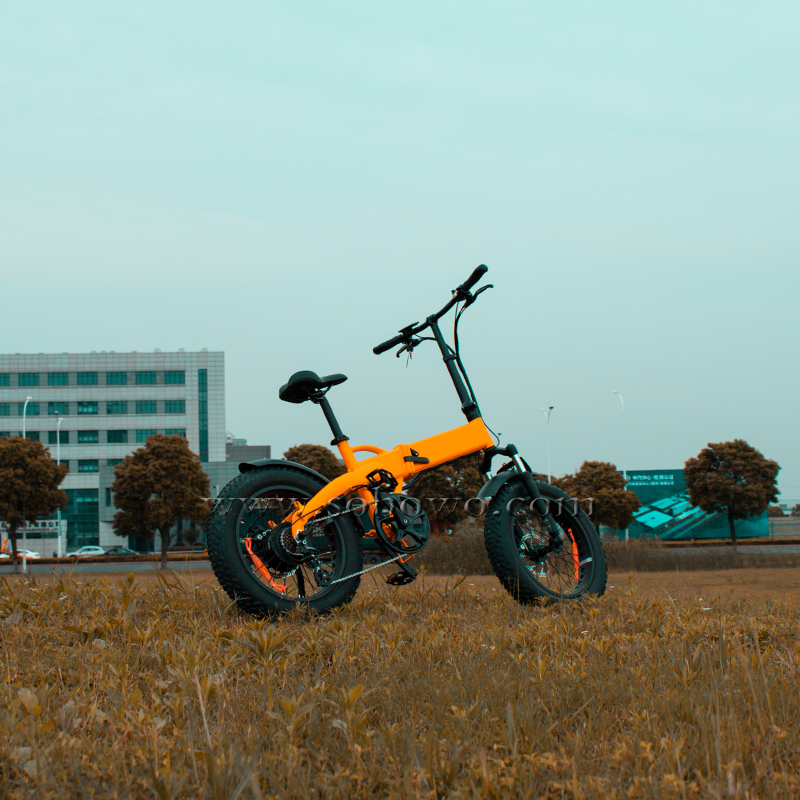 customized aluminum electric cycle 2 seater city e bikes 48 volt 500 watts folding ebike 20 inch fat tire electric bike