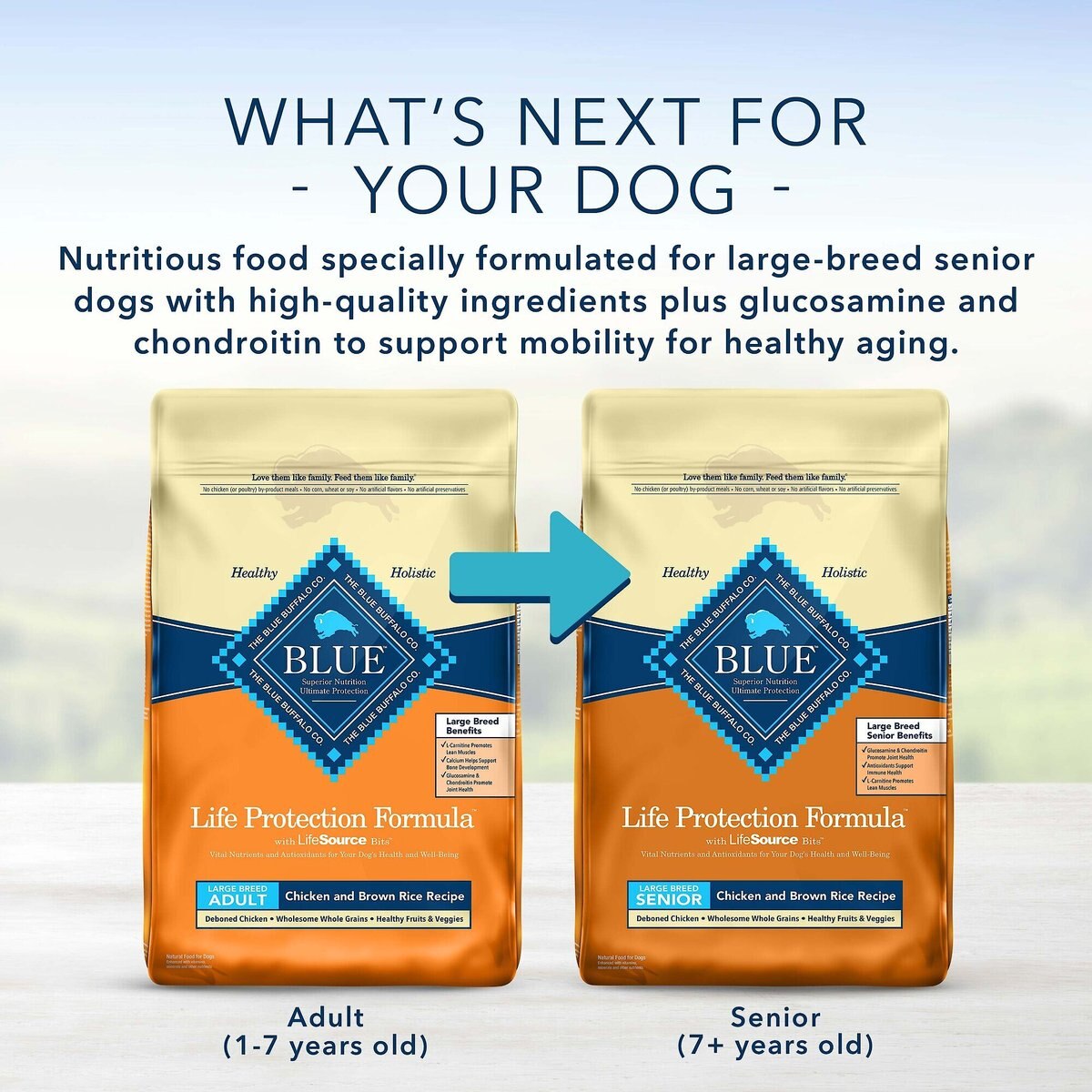 Blue Buffalo Life Protection Formula Large Breed Healthy Weight Adult Chicken and Brown Rice Recipe Dry Dog Food