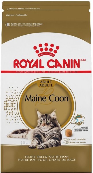 Royal Canin Feline Breed Nutrition Maine Coon Adult Dry Cat Food