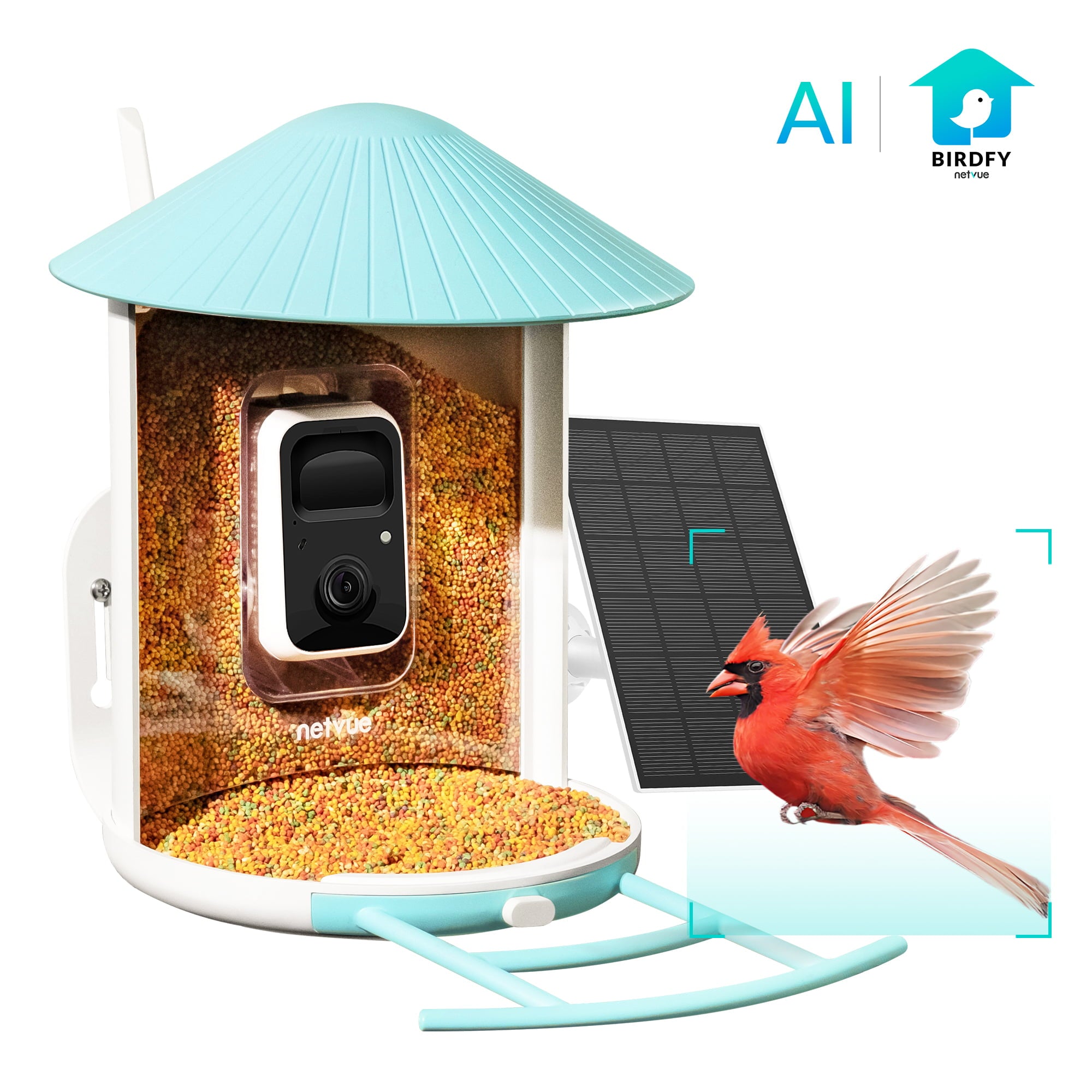 Bird Feeder with Camera， Netvue Birdfy Smart Bird Feeder with Phone App AI Identify Bird Species Night Vision for Bird Watching， Gift Ideas for Moms， Hopper Feeder， Blue (Birdfy AI+Solar)