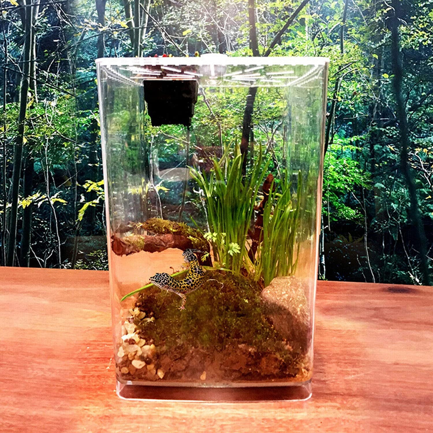 Acrylic Enclosure Terrarium Supplies for Tarantula Scorpion Reptile Tank 29.5cm