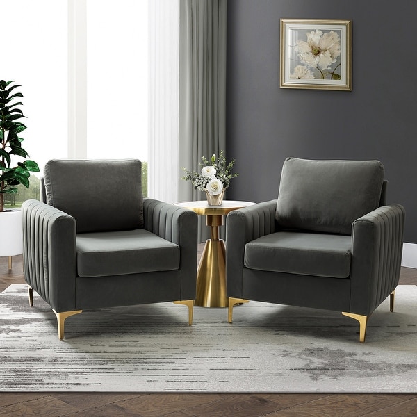 Ganymedes Contemporary Velvet Accent Arm Chair with Golden Legs Set Of 2 by HULALA HOME