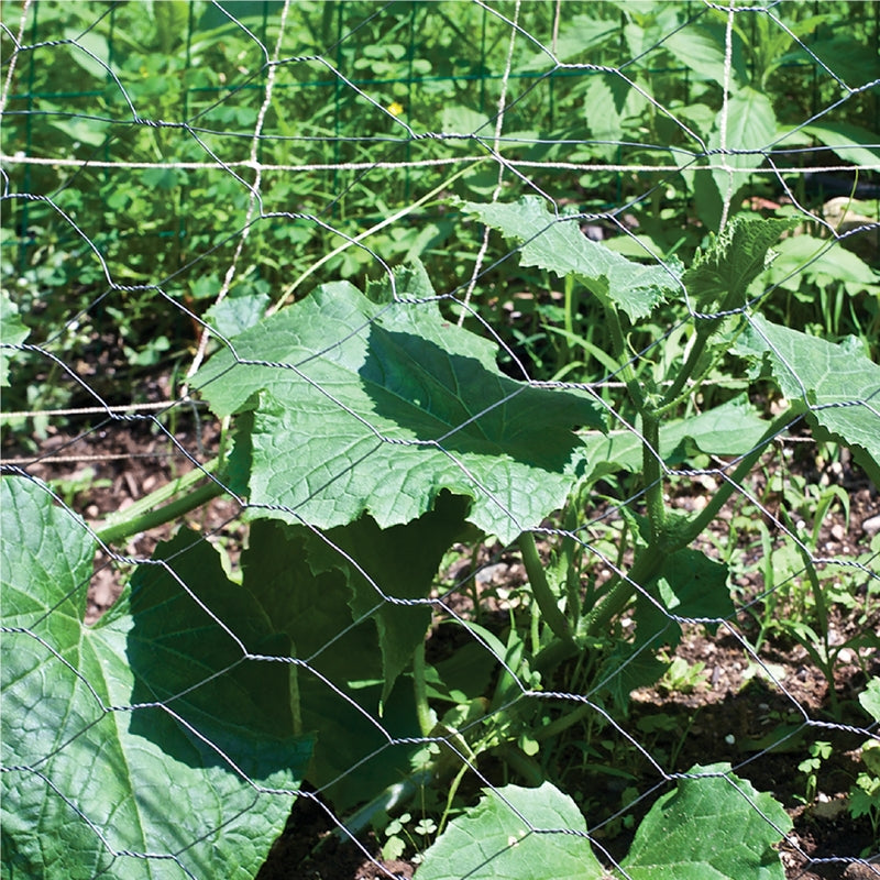 POULTRY NETTING 36