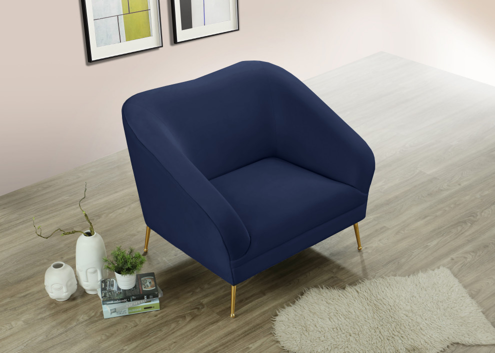 Hermosa Velvet Chair   Midcentury   Armchairs And Accent Chairs   by Meridian Furniture  Houzz