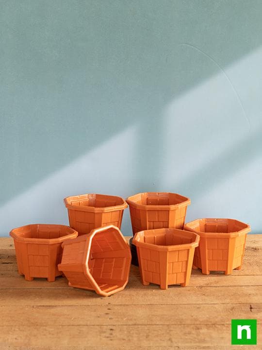 5.3 inch (13 cm) Hexa No. 1 Plastic Planter (Terracotta Color) (set of 6)