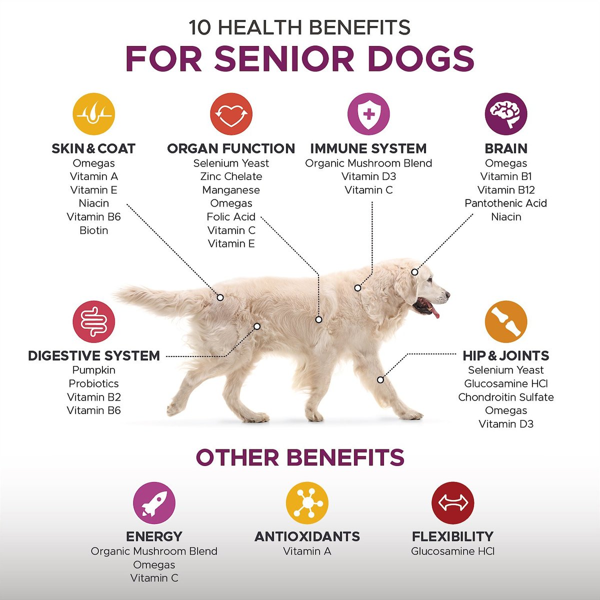 PetHonesty Duck Flavored Soft Chews Multivitamin for Senior Dogs