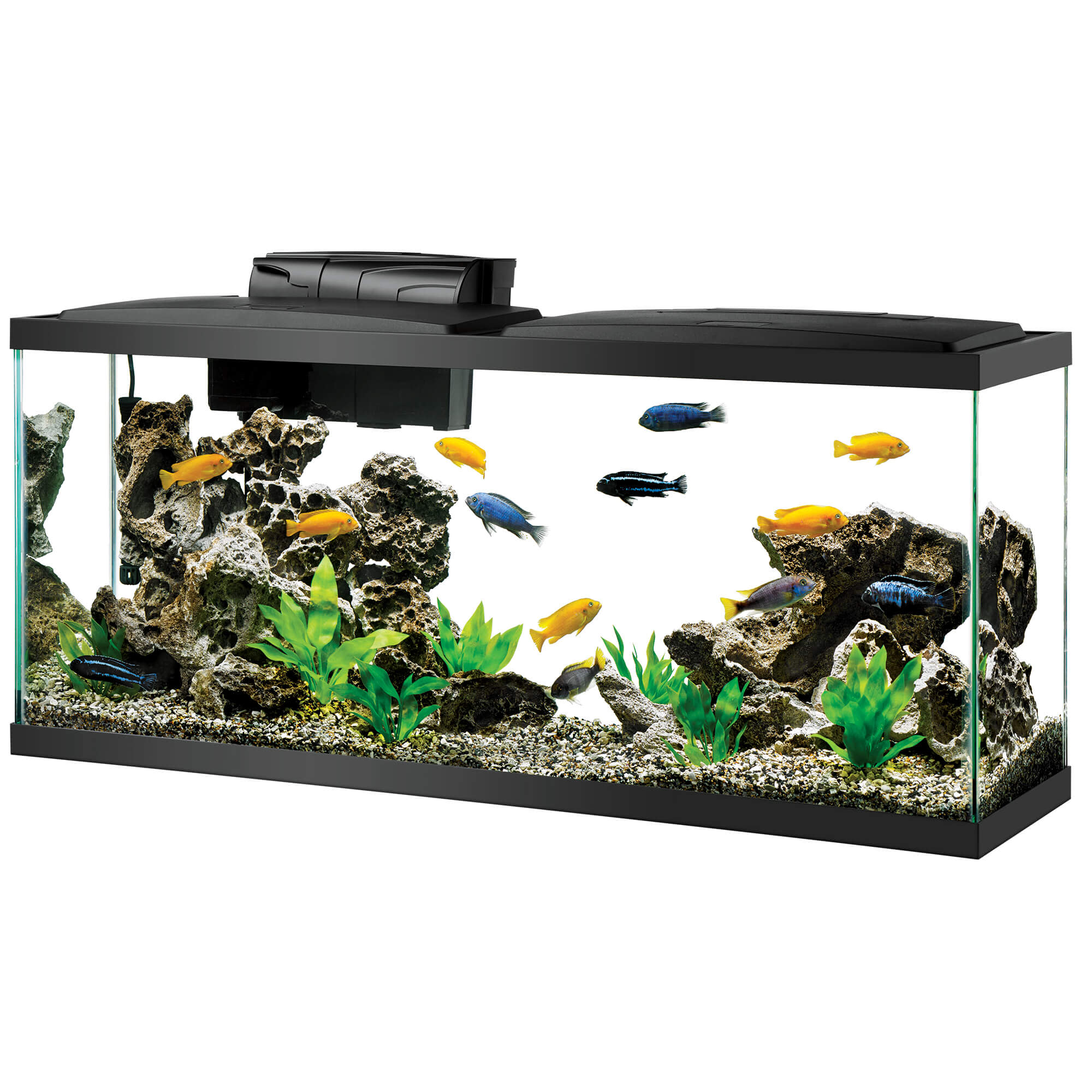 Aqueon Standard Glass Aquarium Tank 55 Gallon  | 55G Fish Tank， 55Gal Fish Tank， 55 Gallon Aquarium， 55 Gallon Tank Dimensions