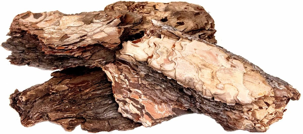 Galapagos Basking Bark Terrarium Wood， Natural