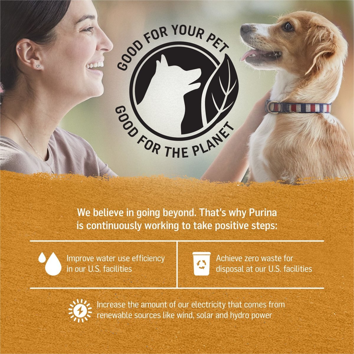 Purina Beyond Chicken and Sweet Potato Recipe in Gravy Canned Dog Food