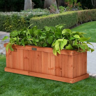 ANGELES HOME 28 12 in. x 9 12 in. Solid Fir Wood Flower Planter Box with Drainage Holes For Garden M34-8GT31