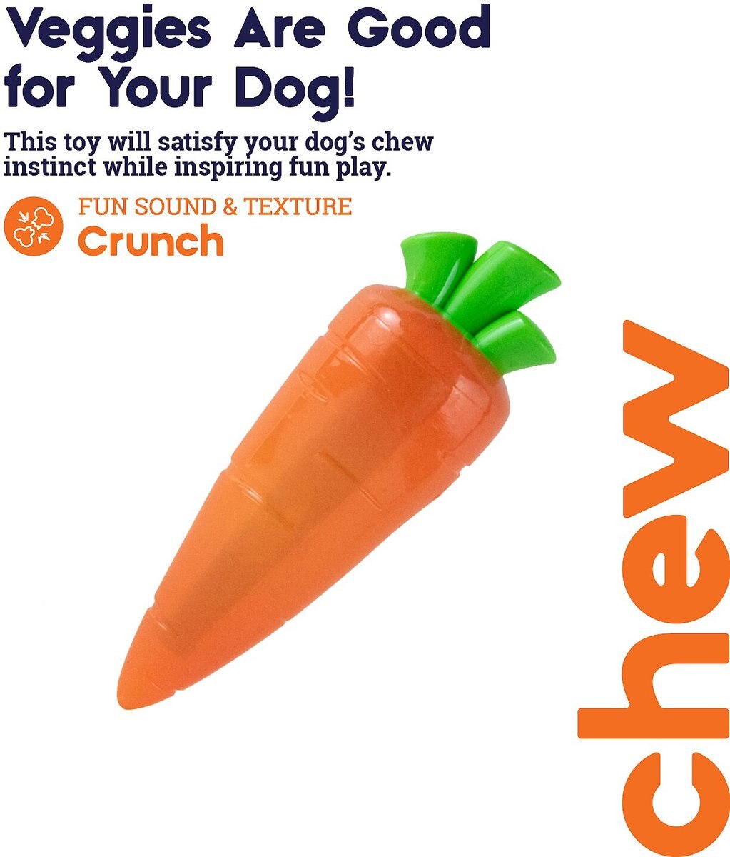 Petstages Crunch Veggie Carrot Tough Dog Chew Toy