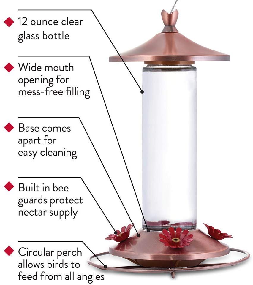 Perky-Pet 710B Elegant Glass Hummingbird Feeder