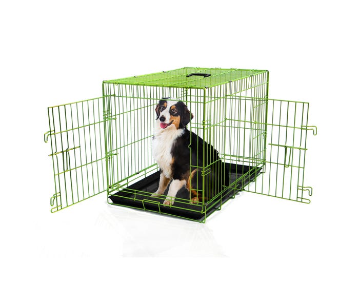 Pet Expressions Colored Metal Wire Dog Crate， 36