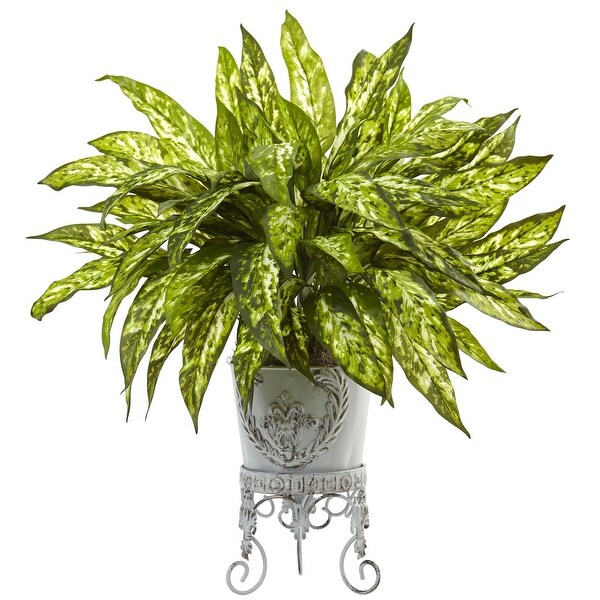 Aglaonema with Metal Planter