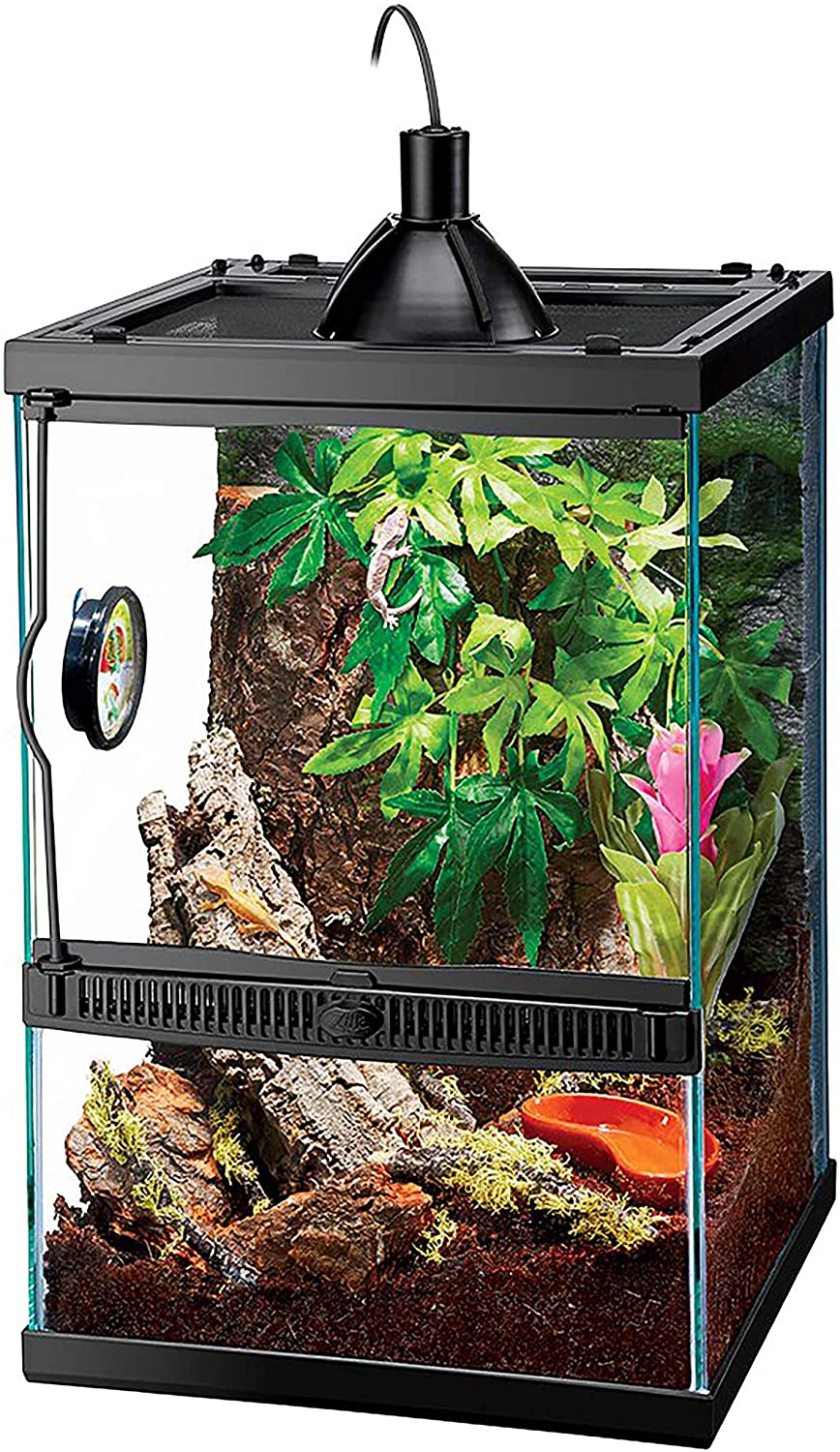 Zilla Tropical Vertical Habitat Starter Kit for Small Tree Dwelling Reptiles and Amphibians Like Geckos and Frogs