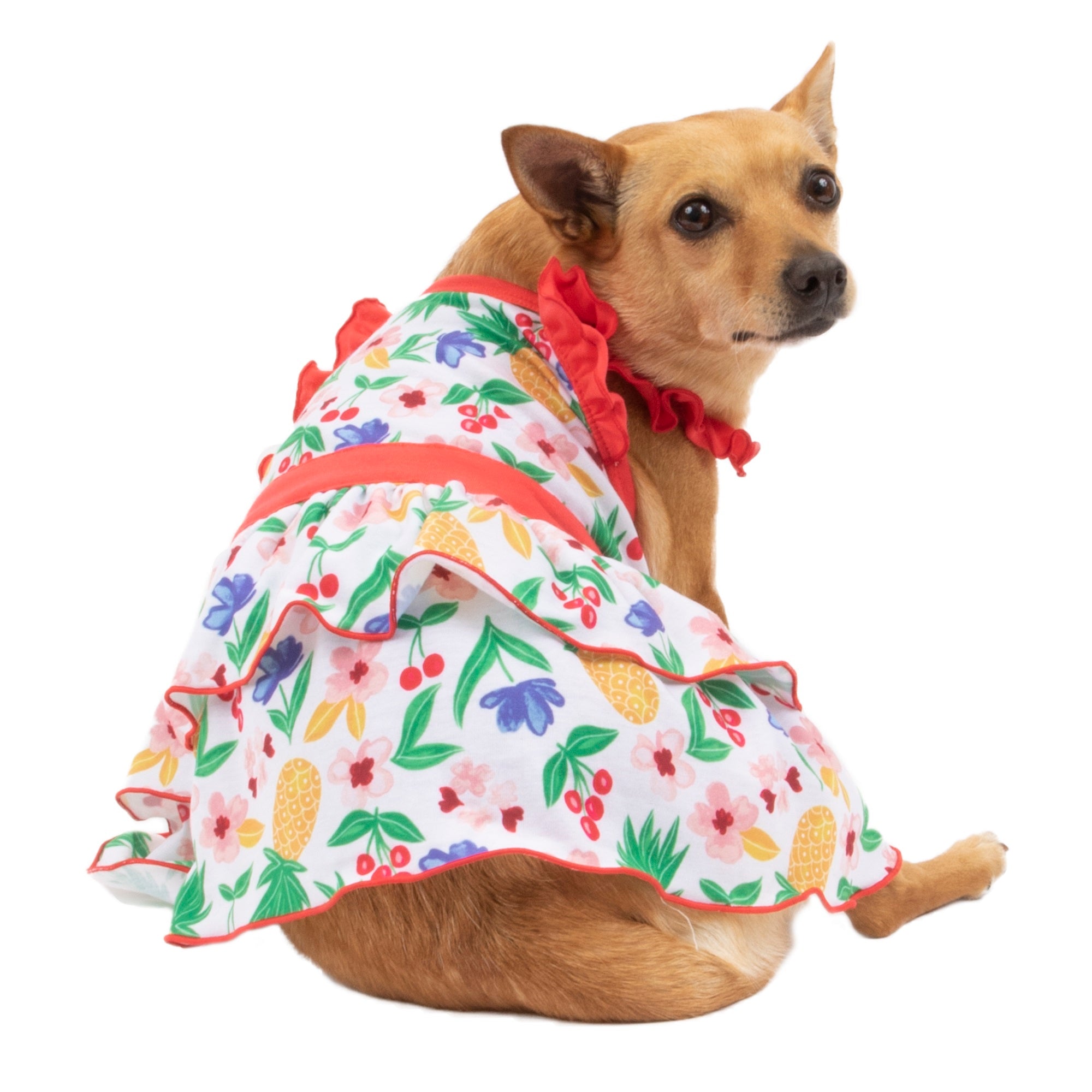 Vibrant Life Pineapple Tiered Pull Over Skirt Dress for Dogs or Cats， XXS