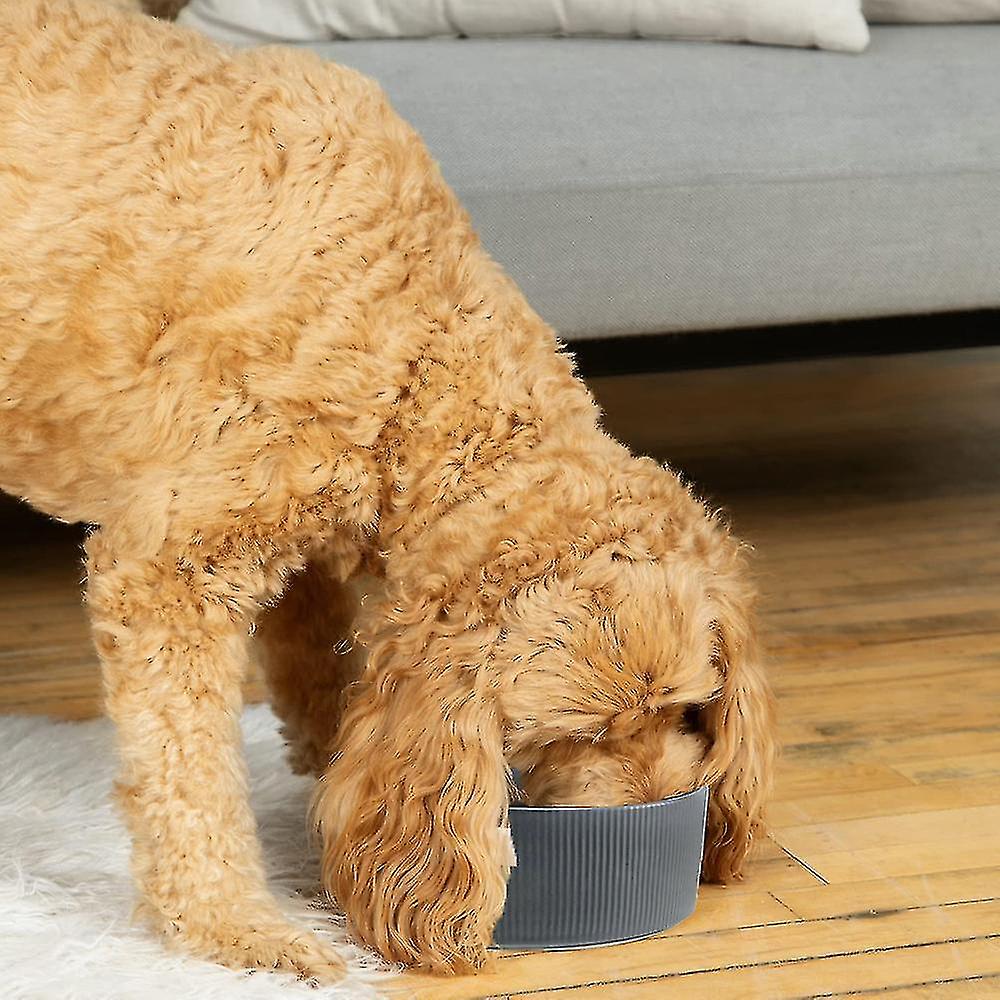 Ceramic Dog Bowl - Heavyweight And Durable Pet Food And Water Dish Crock， Dishwasher Safe， Modern