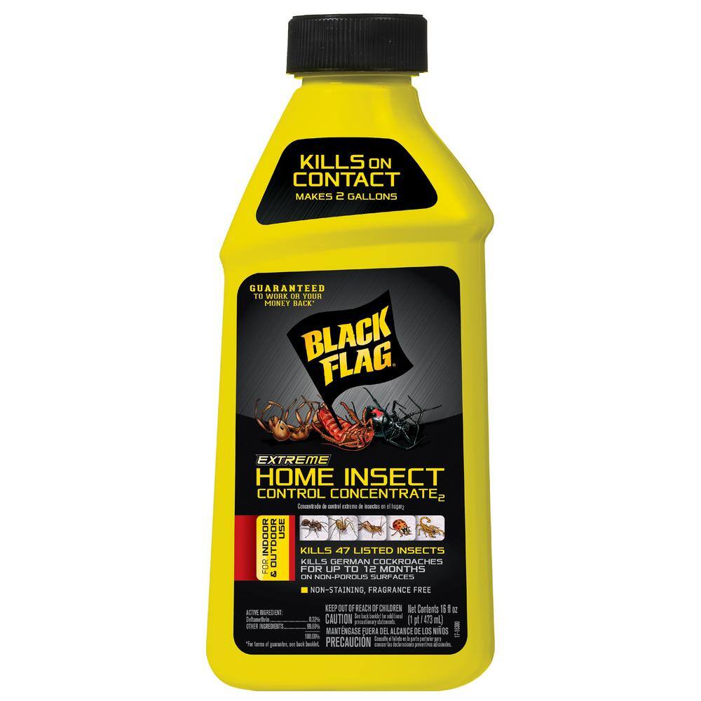 Black Flag Extreme 16 oz. Home Insect Control Concentrate HG-11010-2