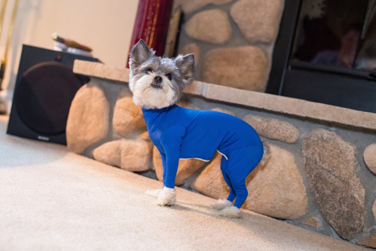 Shed Defender Original Dog Onesie