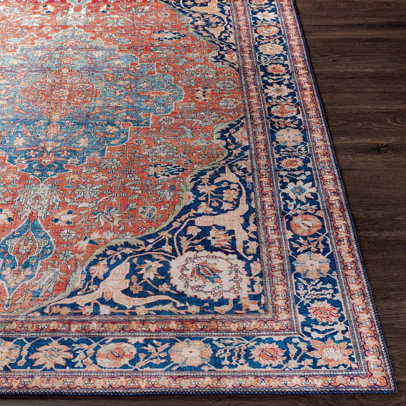 Luchen Traditional Area Rug