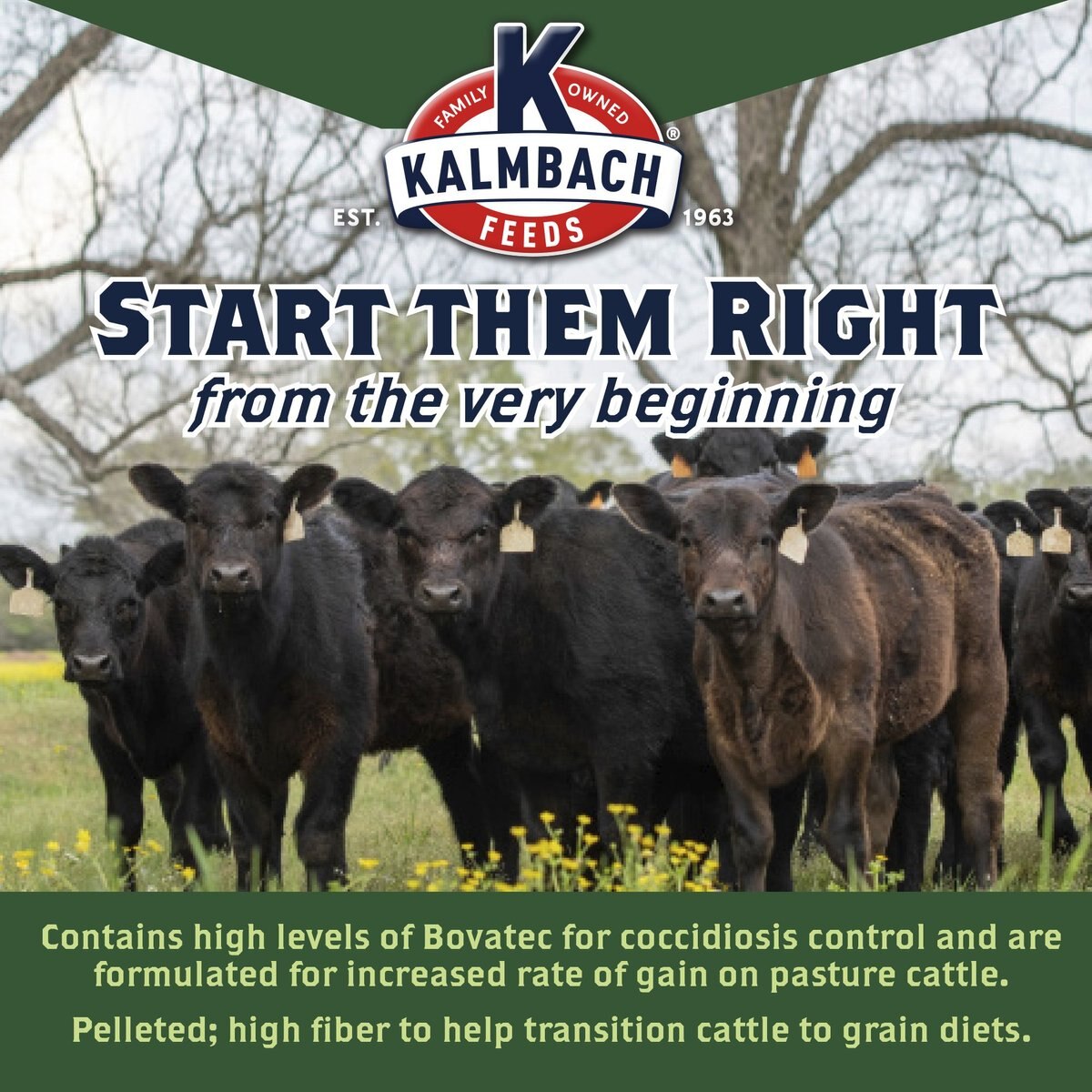 Kalmbach Feeds Start Right Preconditioner Cattle Feed， 50-lb bag