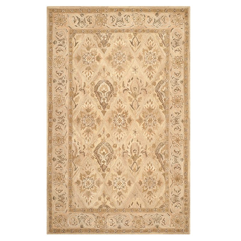 Safavieh Anatolia Rhonda Framed Floral Wool Rug