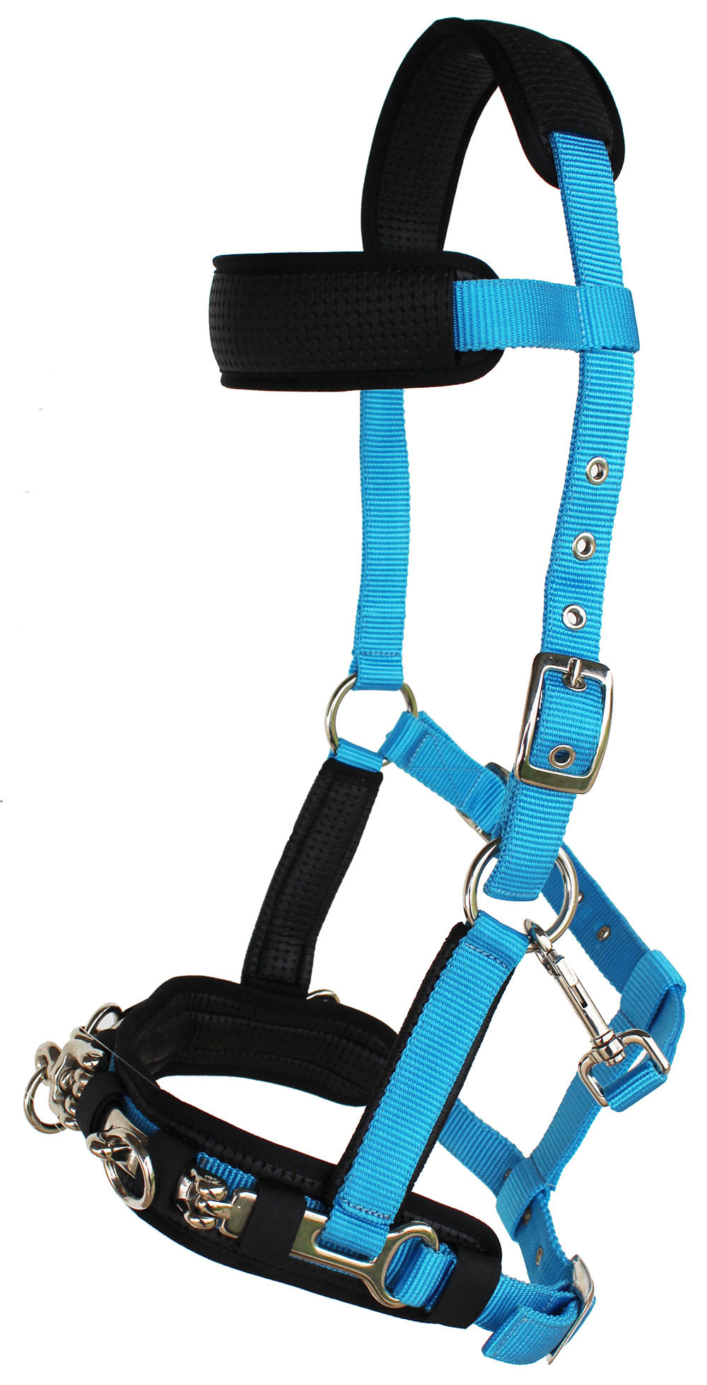 Horse Nylon Lunge Cavesson Neoprene Padded Training Halter Turquoise COB 606F03C