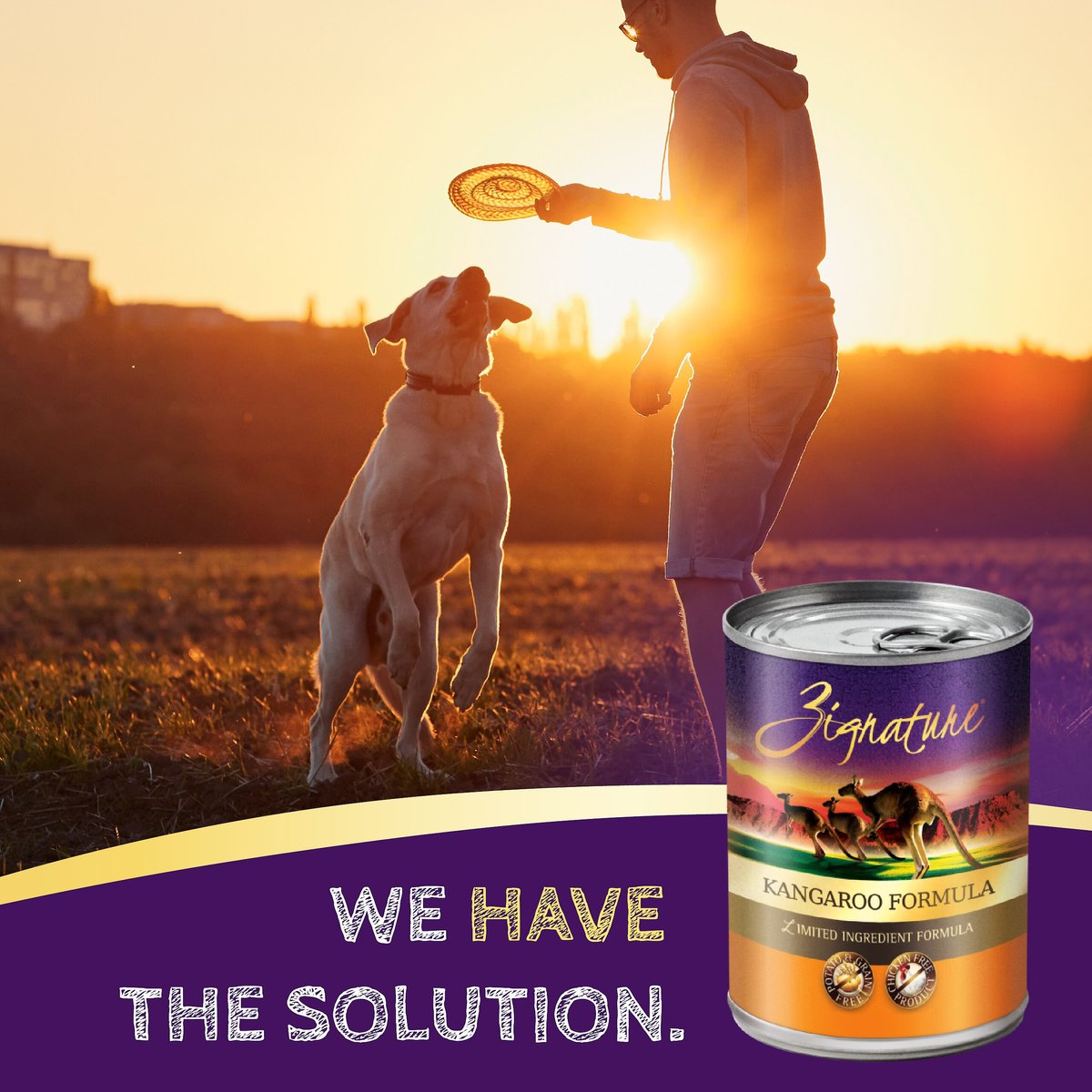 Zignature Kangaroo Limited Ingredient Formula Canned Dog Food