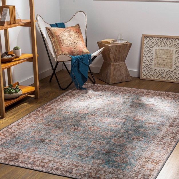 Colin Traditional Machine Washable Rug Blue brown Artistic Weavers