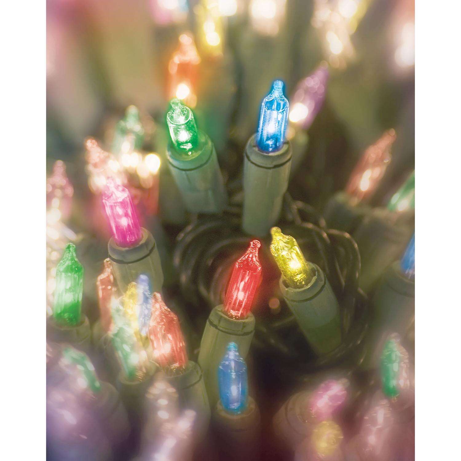 Celebrations Multicolored Mini Incandescent Christmas Lights 62.08