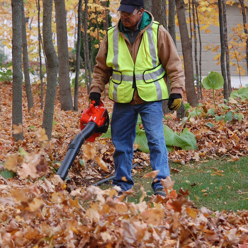 ECHO 170 MPH 453 CFM 25.4 cc Gas 2-Stroke Handheld Leaf Blower PB-2520