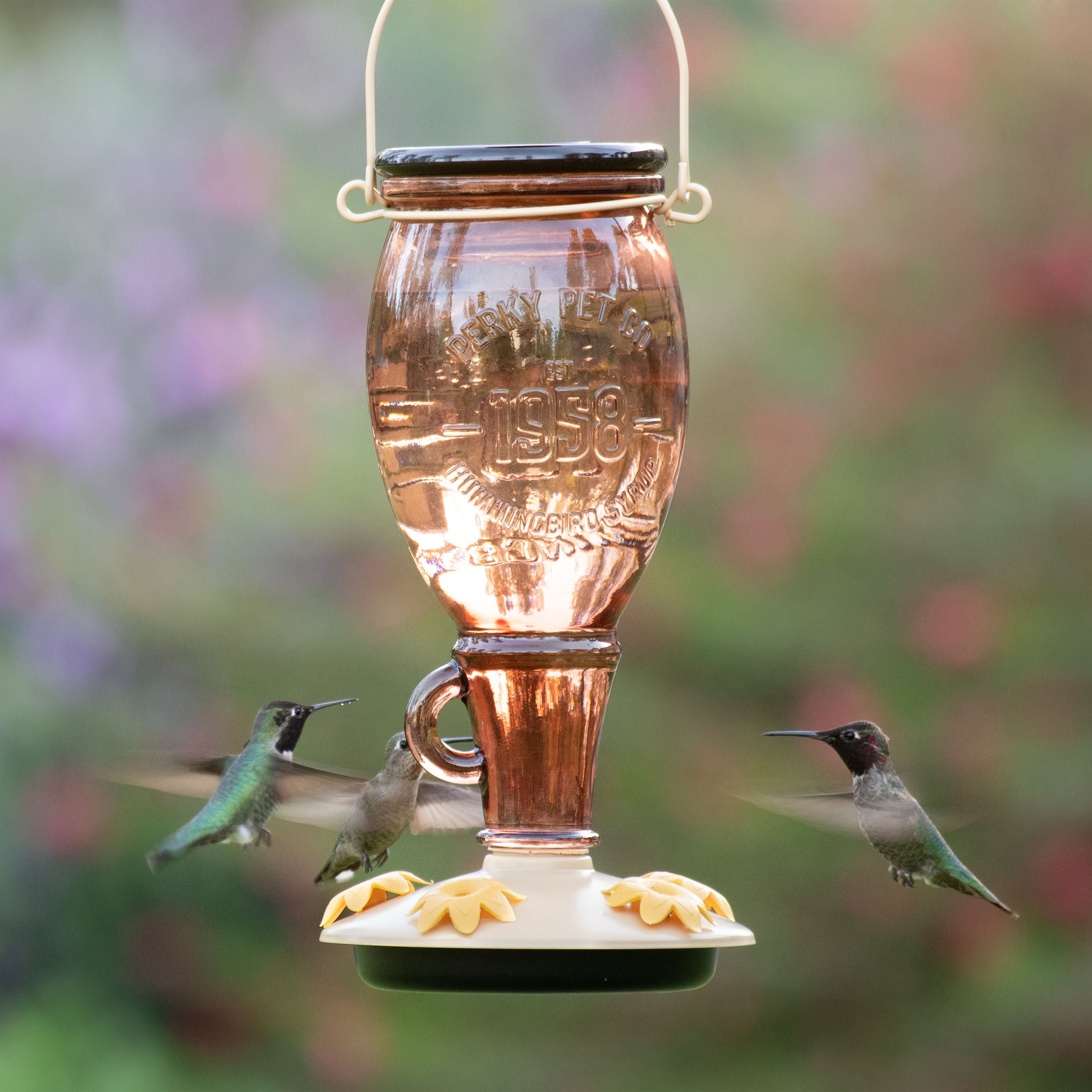 Perky-Pet Sugar Maple Top-Fill Glass Hummingbird Feeder