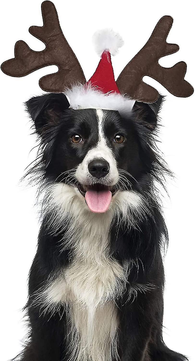 2 Pcs Cat Dog Christmas Antlers Headband Reindeer Antler Headband For Dogs Cats Small Dog Reind