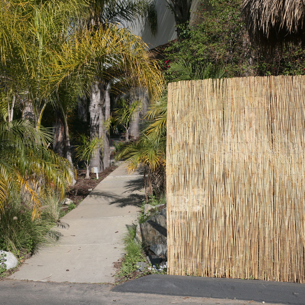 Backyard X-Scapes 6' H x 16' L Natural Reed Fence Panel